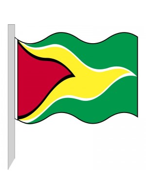 Bandera Guyana 130-GY