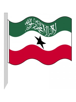 Bandera Somalilandia 130-SOLND