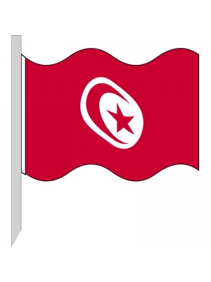Bandera Túnez 130-TN